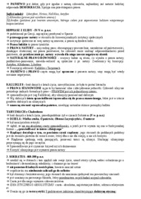 historia-mysli-ekonomicznej-protagoras-z-abdery