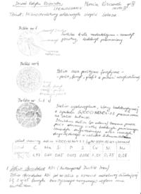Sprawozdanie - Podstawy materiałoznawstwa