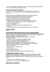 miedzynarodowa-ochrona-praw-czlowieka