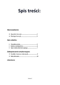 ochrono-przed-korozja-powloki-z-tworzyw-sztucznych