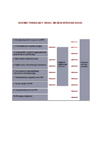 warunki-wejscia-firmy-na-gielde