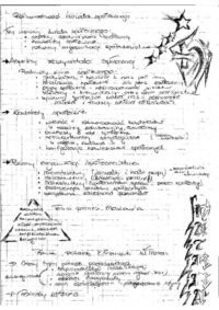 socjologia-pracy-perspektywa-socjologiczna-czlowiek-w-socjologii-roznorodnosc-swiata-spolecznego