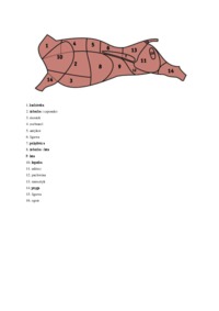 Biologiczne podstawy produkcji zwierzęcej - bydło