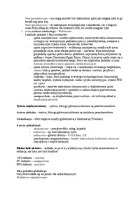 Globalizacja - Główne problemy 