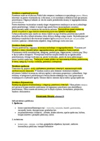 struktura-przestrzenna-miasta