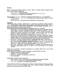 renesans-teoria-idoli