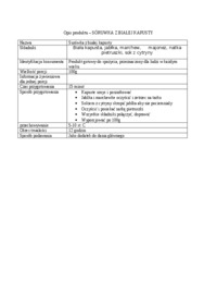 schemat-technologiczny-produkcji-surowki-z-bialej-kapusty