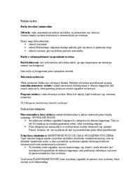 kalat-sterowanie-ruchem-asymetria-funkcjonowania-mozgu