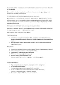 ogolna-fizjologia-zwierzat-miesnie