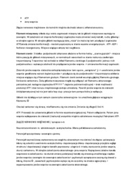 budowa-histologiczna-rodzajow-tkanki-miesniowej