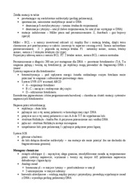 mutacje-i-naprawa-dna