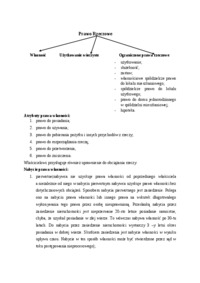 prawo rzeczowe - Dobro niematerialne