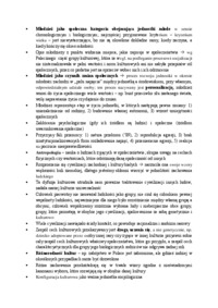 roznorodnosc-kulturowa