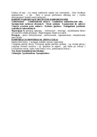 zachowanie-organizacyjne