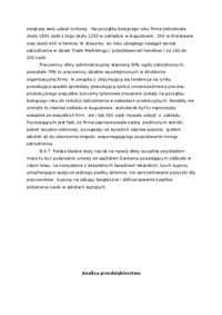 analiza-strategiczna-batig-projekt