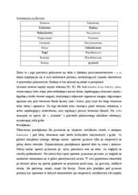 skladniki-jeczmienia