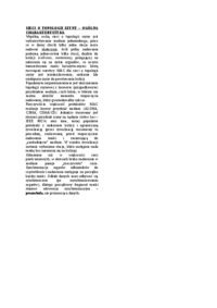 SIECI O TOPOLOGII SZYNY - OGÓLNA CHARAKTERYSTYKA
