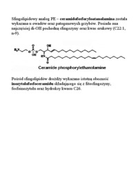 lipidy-sfingolipidy