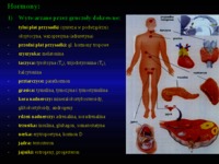 hormony-fizjologia-zwierzat