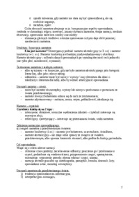 Narrator w powieści