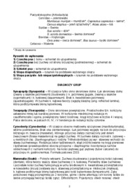 Zoologia kręgowców - ćwiczenie 8