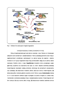 uklad-nerwowy-kregowcow