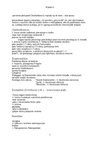 zoologia-kregowcow-wyklad-11