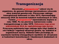 Organizmy genetycznie modyfikowane