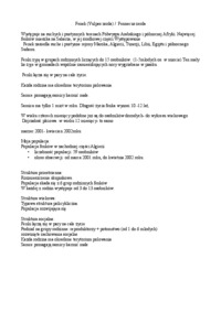 prezentacja-o-fenku