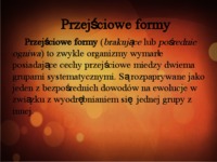 przejsciowe-formy-w-ewolucji-roslin