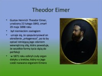 Teoria ortogenezy Eimera