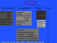 Czynniki mikroewolucji - ewolucjonizm