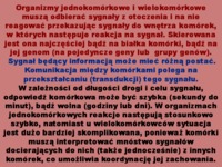 Sygnalizacja miedzykomórkowa - biologia komórki