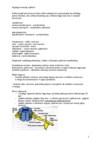 autonomiczny-i-osrodkowy-uklad-nerwowy