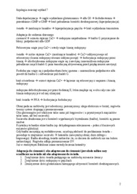 fizjologia-zwierzat-wzrok