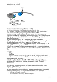 mechanizmy-przekazywania-sygnalu