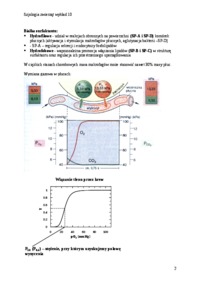 Oddychanie ssaków na lądzie - Białka surfaktantu