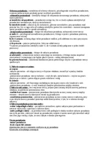 posiadanie-prawo-rzymskie