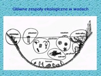 Organizmy w wodach powierzchniowych cz.I