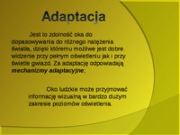 adaptacja-akomodacja-konwergencja-1