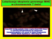 genetyczne-podstawy-odpornosci-na-choroby