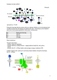 Fizjologia zwierząt - wykłąd 1