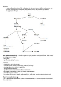 leczenie-zywieniowe-zywienie-enteralne-preparaty-do-zywienia-enteralnego