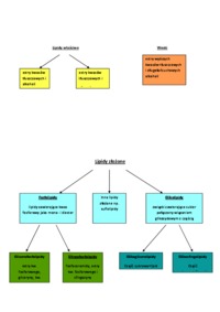 lipidy-zalecenia-zywnosciowe