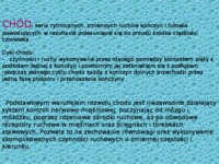 uklad-centralny-i-obwodowy