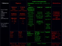 materialy-budowlane-kamien