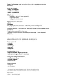 Energia w ekologii - sprawozdanie