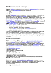 problematyka-recykling-samochodow