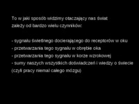 wzrok-prezentacja