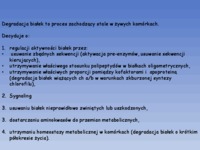 Metabolizm roślin - degradacja białka